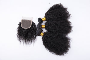 Kinky Curly Brazilian Virgin Hair 3 Bundles with Free Closure Free Shipping - Jilly Hair